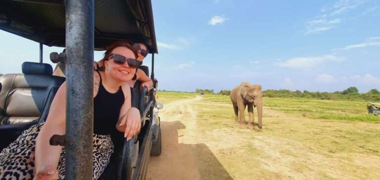 Minneriya Safari
