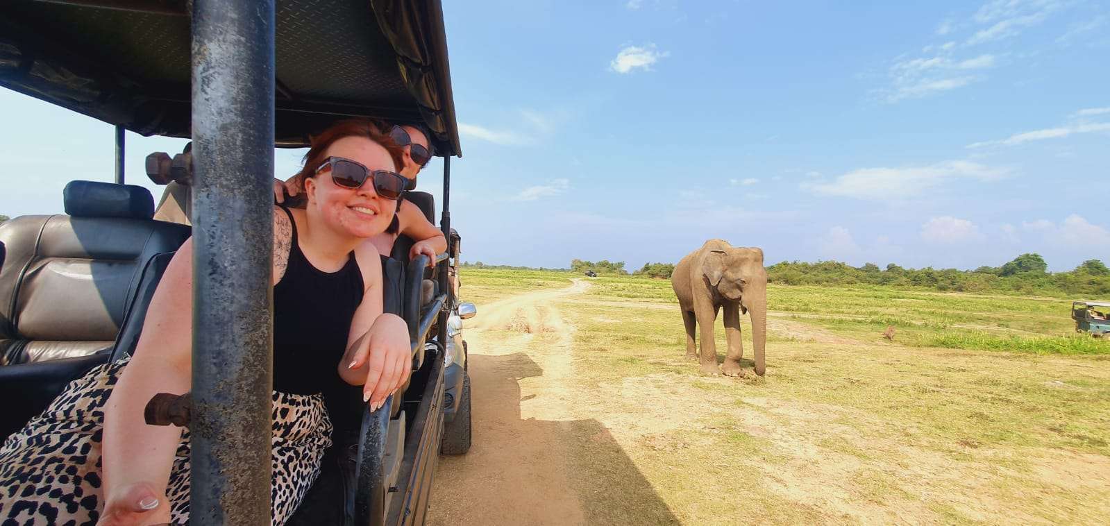 Minneriya Jeep Safari 